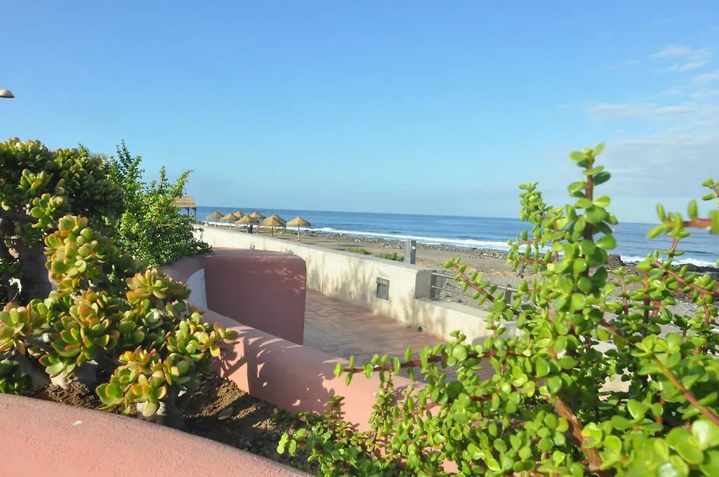 Palm Mar - Studio Mocan 2 Ad Y 3 Nin Apartment Playa de las Americas  0*, Playa de las Americas (Tenerife) Spain