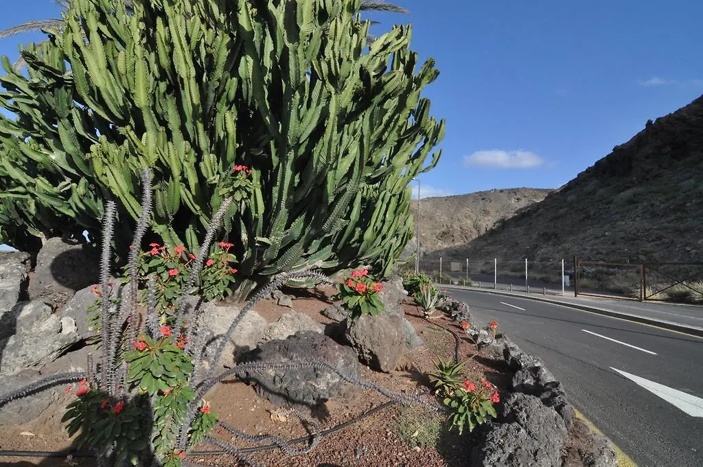 Palm Mar - Studio Mocan 2 Ad Y 3 Nin Apartment Playa de las Americas  0*, Playa de las Americas (Tenerife)