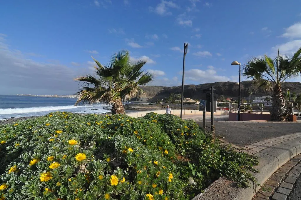 Palm Mar - Studio Mocan 2 Ad Y 3 Nin Apartment Playa de las Americas