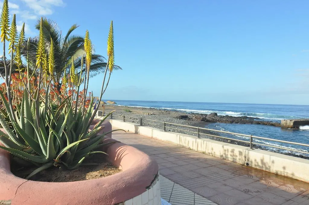 Palm Mar - Studio Mocan 2 Ad Y 3 Nin Apartment Playa de las Americas