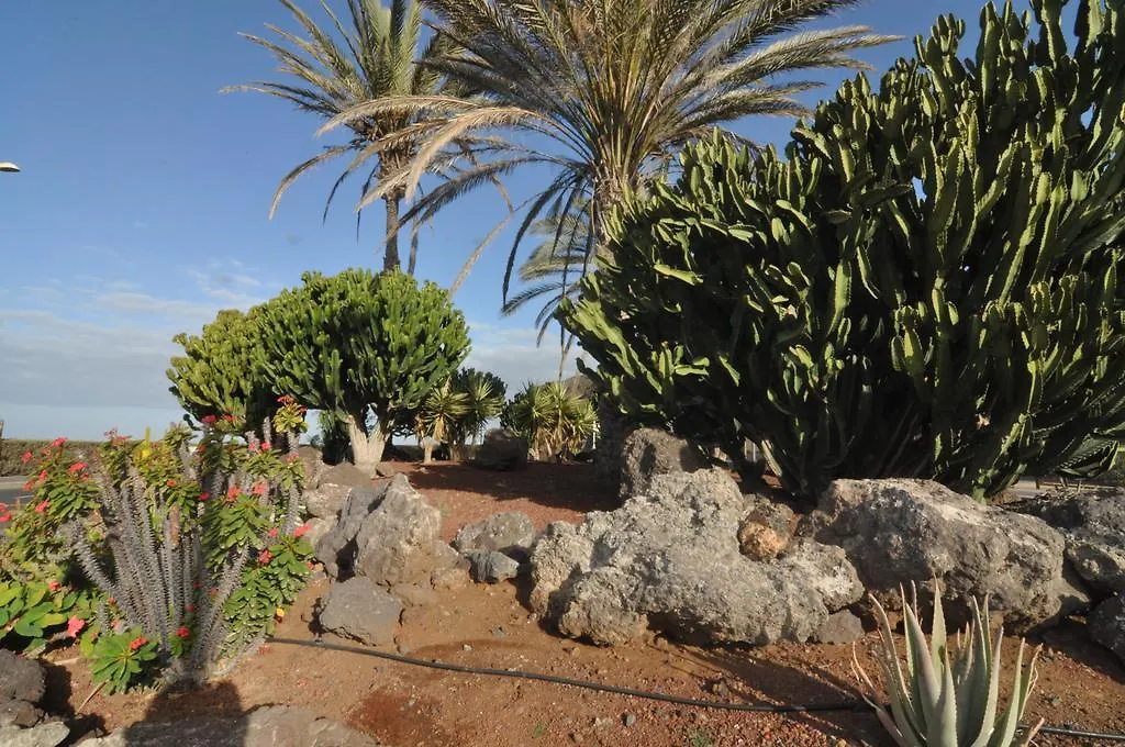 Palm Mar - Studio Mocan 2 Ad Y 3 Nin Apartment Playa de las Americas  Playa de las Americas (Tenerife)
